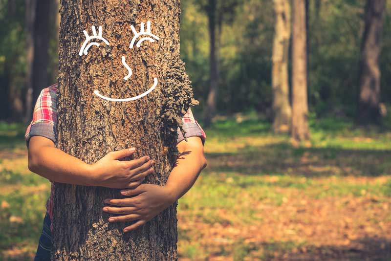 Een boom knuffelen is wellicht iets te overdreven